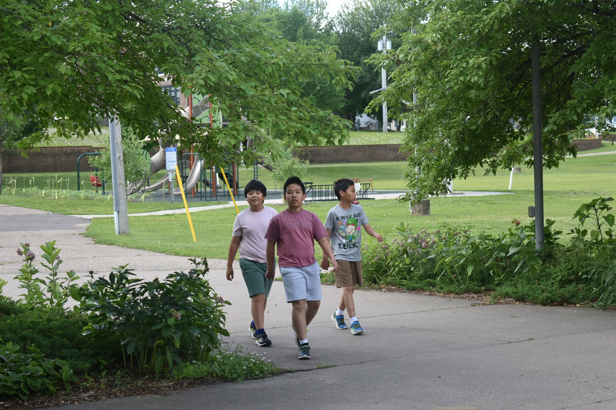 Dragon Boat Festival 2026 — photo 115